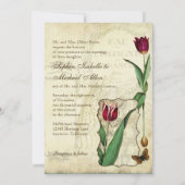 ヴィンテージチューリップエンジェルウィングスワールティーステンドレッド 招待状 (裏面)