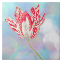 ヴィンテージチューリップセラミックタイル タイル