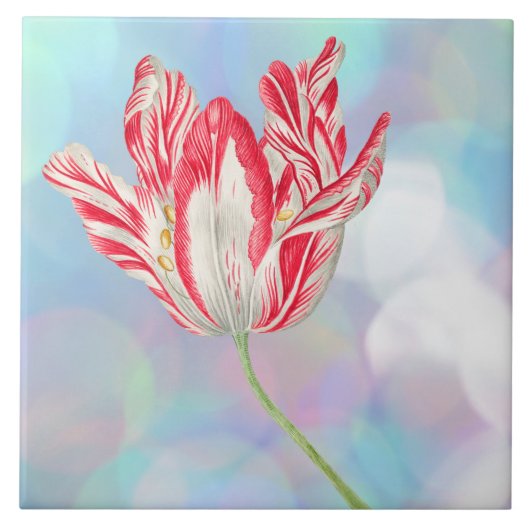 ヴィンテージチューリップセラミックタイル タイル (正面)