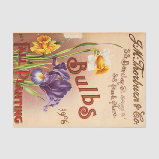 ヴィンテージチューリップフラワーシードパック 薄葉紙 (正面)