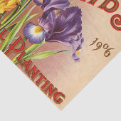 ヴィンテージチューリップフラワーシードパック 薄葉紙 (詳細)