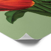 ヴィンテージチューリップ ポスター (角)