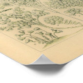 ヴィンテージチリアタカラーエルンストヘッケルプリント ポスター (角)