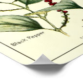 ヴィンテージチリピーパーズボタニカルイラスト ポスター (角)