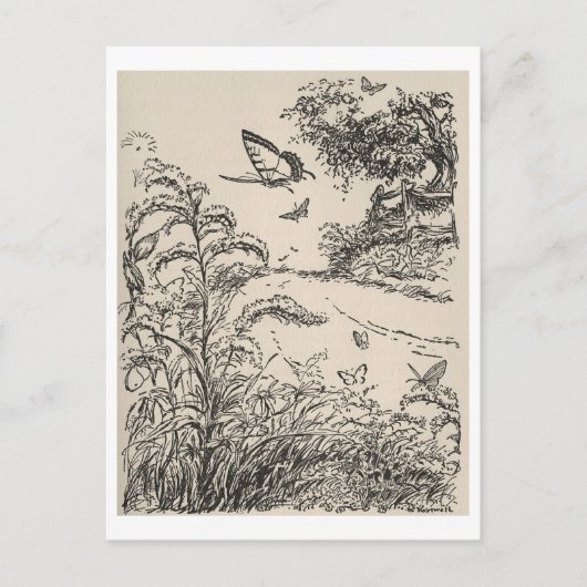 ヴィンテージチルドズブックイラストレーション蝶 ポストカード (正面)
