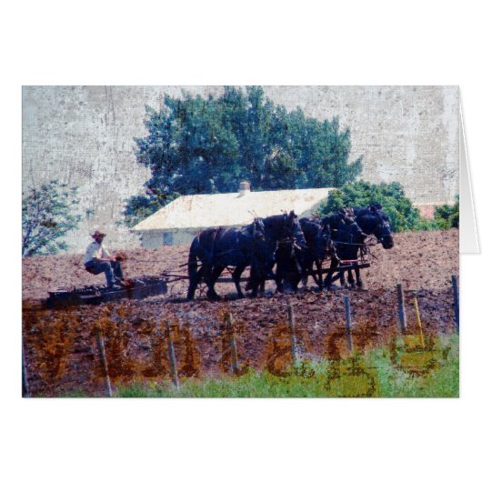 ヴィンテージチームの作業 (正面横)