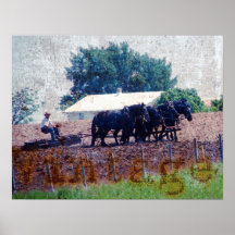 ヴィンテージチームの作業