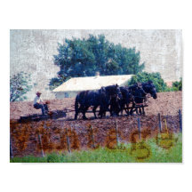 ヴィンテージチームの作業