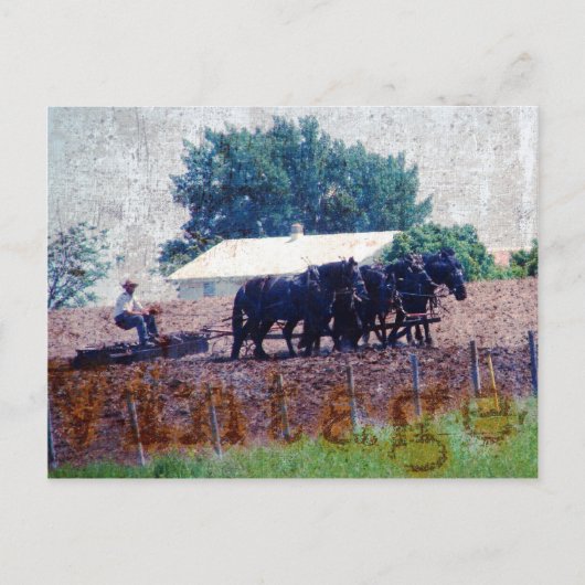 ヴィンテージチームの作業 ポストカード (正面)