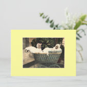 ヴィンテージツインベビー発表 案内状 (スタンド正面)