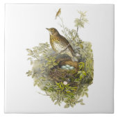 ヴィンテージツグミが卵を守る タイル (正面)