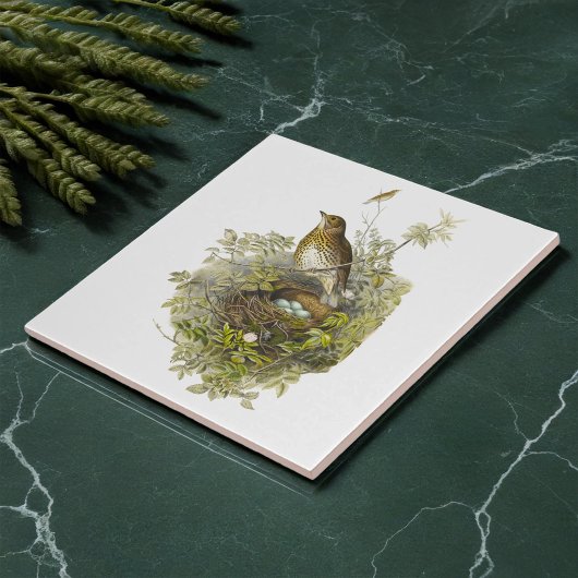 ヴィンテージツグミが卵を守る タイル