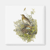 ヴィンテージツグミが卵を守る マグネット (正面)