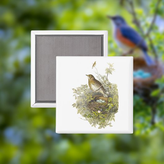 ヴィンテージツグミが卵を守る マグネット