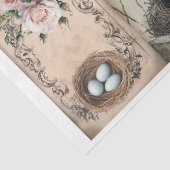 ヴィンテージツバメと卵の巣春 薄葉紙 (詳細)