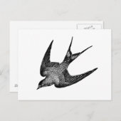 ヴィンテージツバメイラストレーション- 1800のレトロ鳥 ポストカード (正面/裏面)