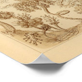 ヴィンテージツブラリアエカラーエルンストヘッケルプリント ポスター (角)