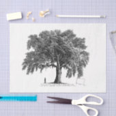 ヴィンテージツリーエフェメラデクページ 薄葉紙 (クラフト)