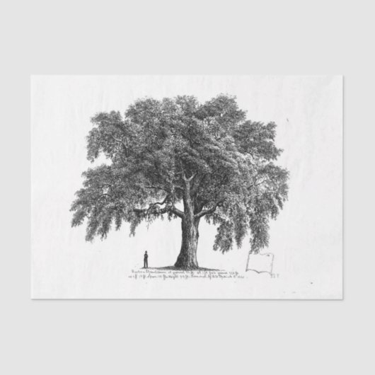 ヴィンテージツリーエフェメラデクページ 薄葉紙 (正面)