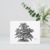 ヴィンテージツリーエフェメラデコパージュアート ポストカード (スタンド正面)