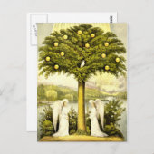 ヴィンテージツリーオブライフクリスチャンイラストレーション1892 ポストカード (正面/裏面)