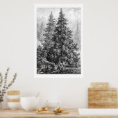 ヴィンテージツリー1800sアンティークヨーロッパのトウヒ ポスター (キッチン)