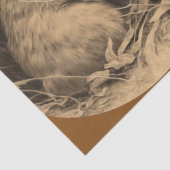 ヴィンテージティッシュペーパー 薄葉紙 (詳細)