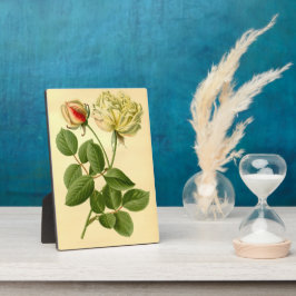 ヴィンテージティーバラグロレデディジョンレッドイエローフローラ フォトプラーク