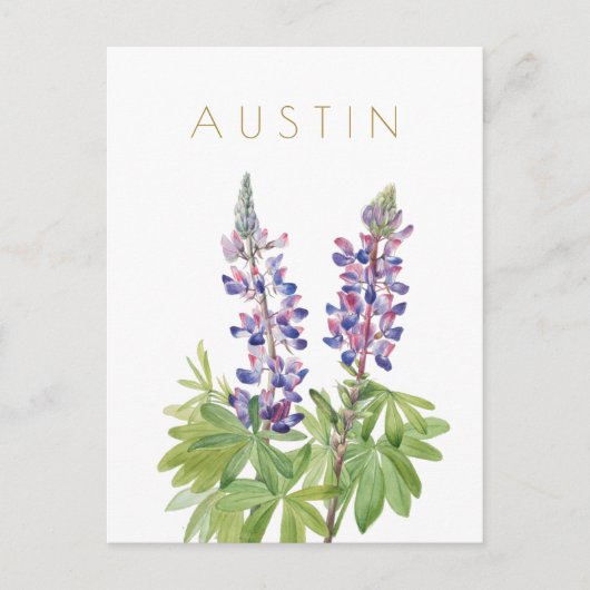 ヴィンテージテキサス州花旅行ミッドセンチュリーハガキ ポストカード (正面)