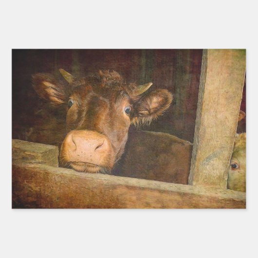 ヴィンテージテクスカウイ素朴ンバーカントリーおもしろい ラッピングペーパーシート (正面2)