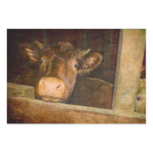 ヴィンテージテクスカウイ素朴ンバーカントリーおもしろい