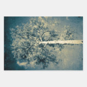 ヴィンテージテクスチャの森の木を灰色の空に向けて ラッピングペーパーシート (正面)