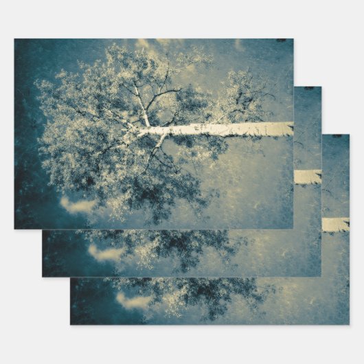 ヴィンテージテクスチャの森の木を灰色の空に向けて ラッピングペーパーシート (セット)