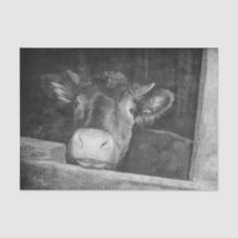 ヴィンテージテクスチャー白黒の田舎牛