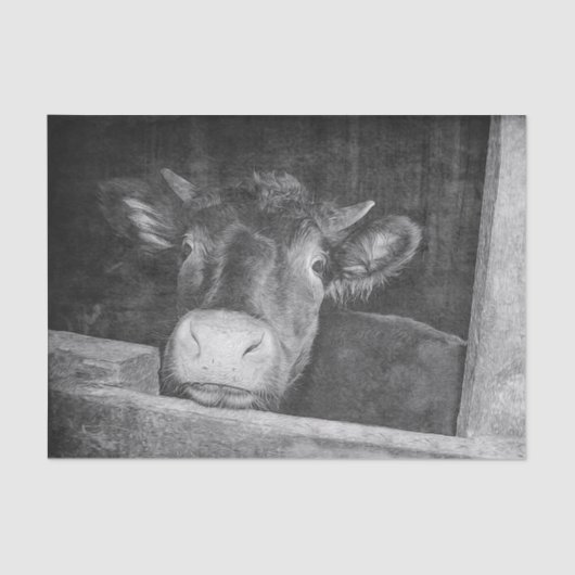 ヴィンテージテクスチャー白黒の田舎牛 薄葉紙 (正面)