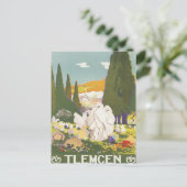 ヴィンテージテルマクエンアルジェリア ポストカード (スタンド正面)