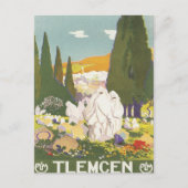 ヴィンテージテルマクエンアルジェリア ポストカード (正面)