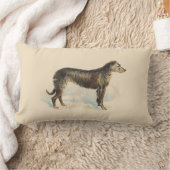 ヴィンテージデアハウンドプリントピンク ランバークッション (ブランケット)