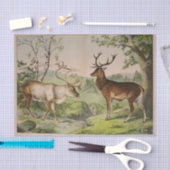 ヴィンテージディアスタグエフェメラデクページ 薄葉紙 (クラフト)