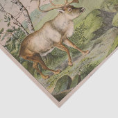 ヴィンテージディアスタグエフェメラデクページ 薄葉紙 (詳細)