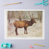 ヴィンテージディアスタグエルクエフェメラデクページ 薄葉紙 (クラフト)