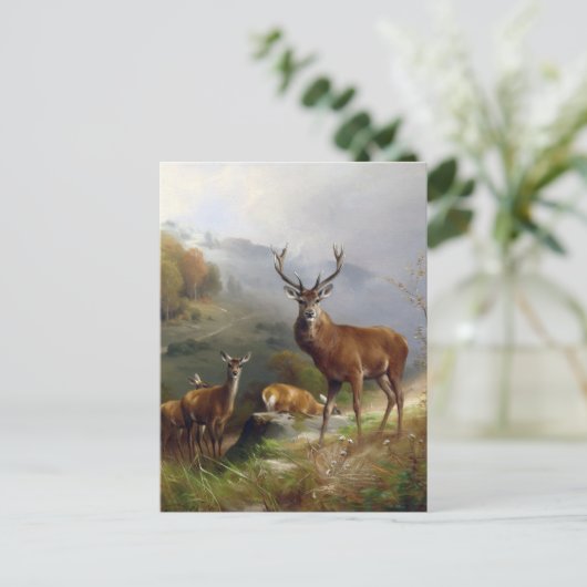 ヴィンテージディアスタッグ – アニマルズオールドイラストレーションアート ポストカード (スタンド正面)