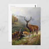 ヴィンテージディアスタッグ – アニマルズオールドイラストレーションアート ポストカード (正面/裏面)