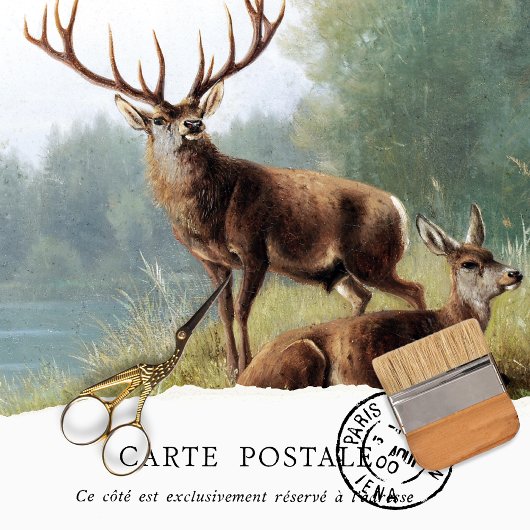 ヴィンテージディアデクページティッシュペーパー 薄葉紙