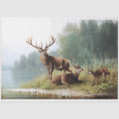 ヴィンテージディアデクページティッシュペーパー 薄葉紙 (正面)