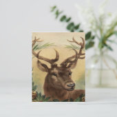 ヴィンテージディアバックスタッグ自然素朴クリスマス シーズンポストカード (スタンド正面)
