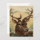 ヴィンテージディアバックスタッグ自然素朴クリスマス シーズンポストカード (正面/裏面)