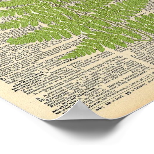 ヴィンテージディクショナリアートグリーンファーンフォンドプリント ポスター (角)