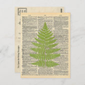 ヴィンテージディクショナリアートグリーンファーンフォンド ポストカード (正面/裏面)