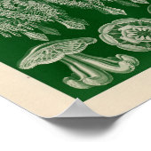 ヴィンテージディスコメダセカラーエルンストヘッケルアートプリント ポスター (角)